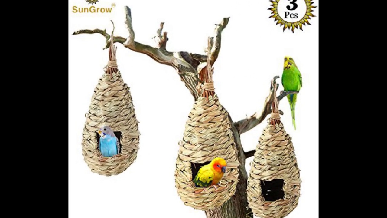 amazing pet products: Grass Bird Hut - Cozy Resting Place for