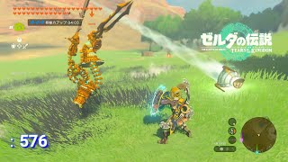 ティアーズ オブ ザ キングダム:576】ワシュアの丘の近くで戦っ
