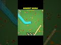 Fastest Grow Ever Worms Zone Gameplay