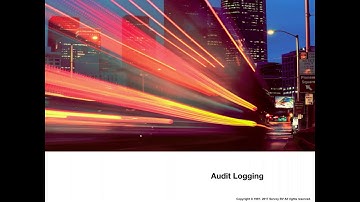 Audit logging in Servoy