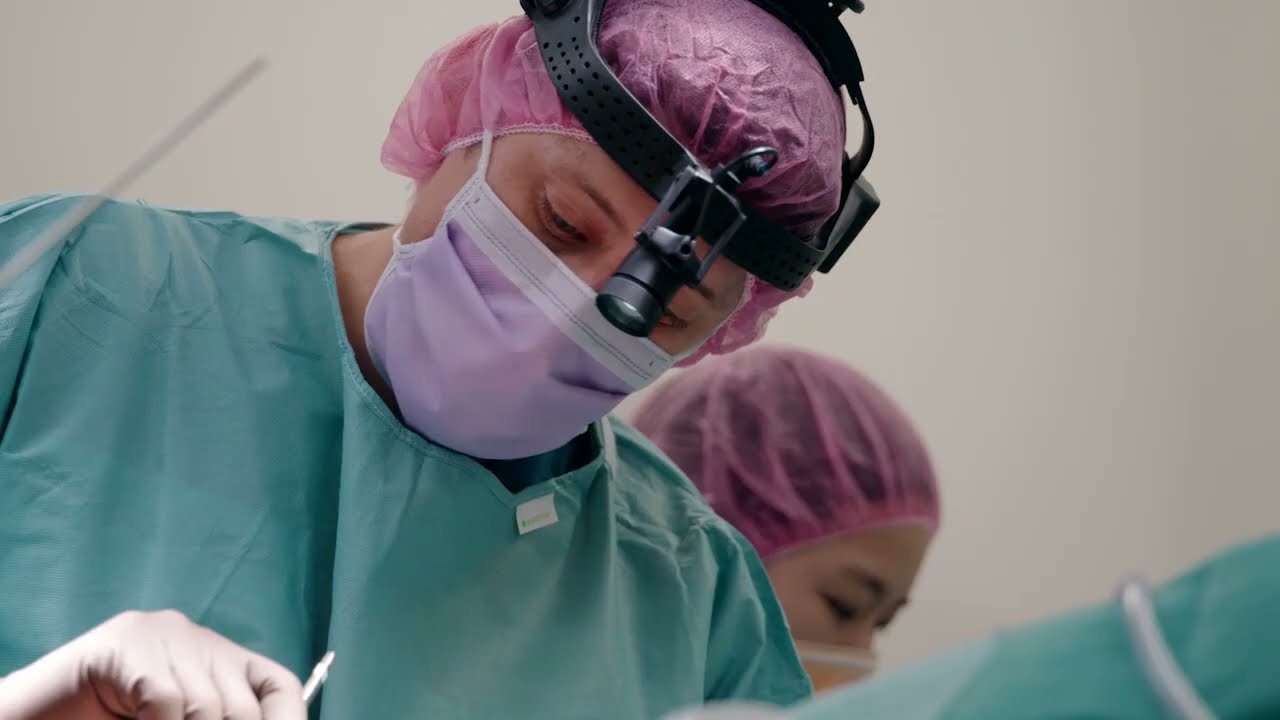 Grizzly Bear Media Services Ad