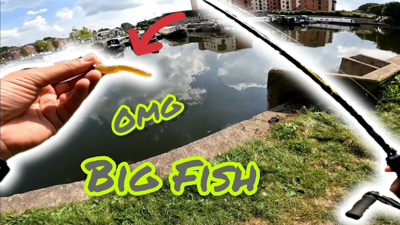 Ned Rig Big Perch! (BFS Fishing) - YouTube