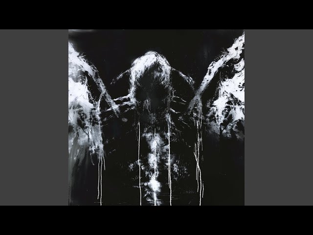 INSOMNIA FUNK (Ultra Slowed)