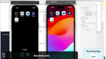 Befriend Developer Setup Video