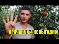 Почему я не люблю торговать на рынках в розницу?