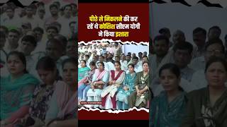 Dayashankar Singh पीछे से निकलने की कर रहें थे कोशिश तो CM Yogi ने किया इशारा | Gautambuddha Nagar