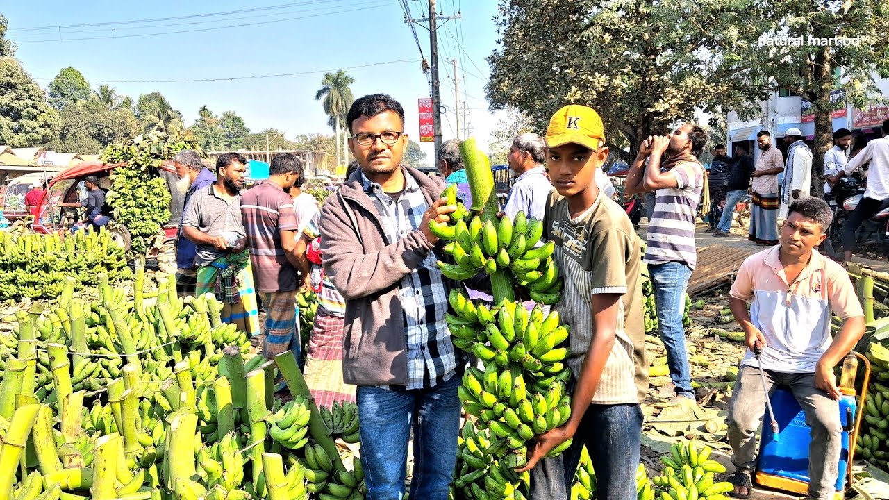 টাঙ্গাইলের মধুপুরের কলার বাজারে জমজমাট পাইকারি বেচাকেনা | কৃষকের লাভের আসল চিত্র।
