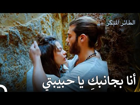 كان سانم قد وجدها مصابة مسلسل الطائر المبكر الحلقة 60