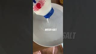 DIY Mosquito Trap! 🦟#diy #helpful #lifehacks