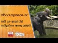 හරියට|sin