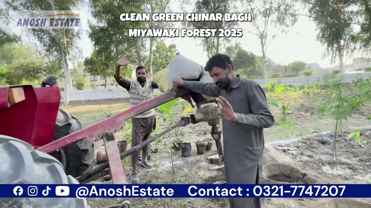 Miyawaki Forest  Chinar Bagh - Anosh Estate