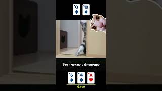 МЕМ МУР #покер #poker