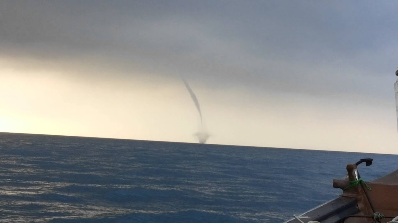 Tamil vidios vinistas