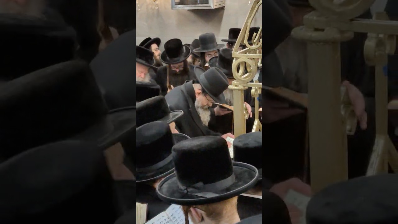 האדמו״ר מסטוטושין בתפילה בקבר רבי אלימלך מליזענסק זי״ע