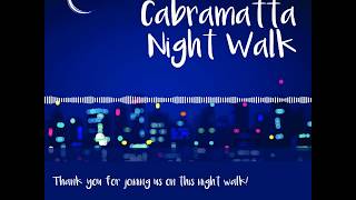 Cabramatta Night Walk