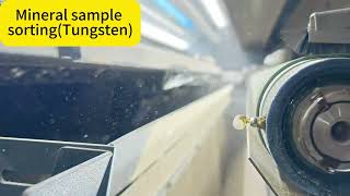 Coming! Inside Tungsten Ore Processing: How the Hardest Metal Is Separated