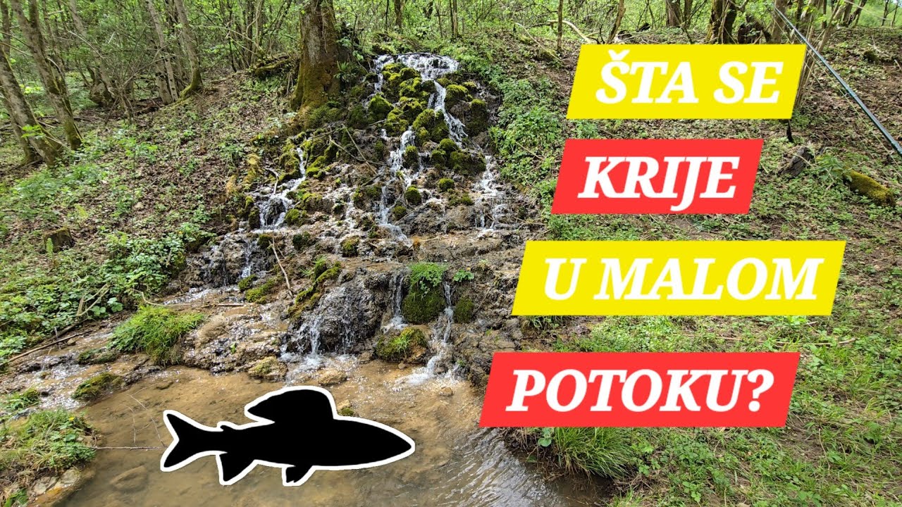 Pecanje PASTRMKE na maloj rijeci!