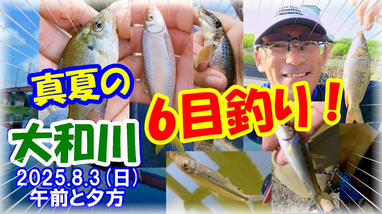 【真夏の小物釣り♪】ヤバい！ダイソーレンジャー＆のべ竿で色々な小魚を釣ってみた！エサはミミズとマルキューの九ちゃん練りエサ！オイカワ・ギル・カマツカ・スゴモロコ・ニゴイ・鯉っ子