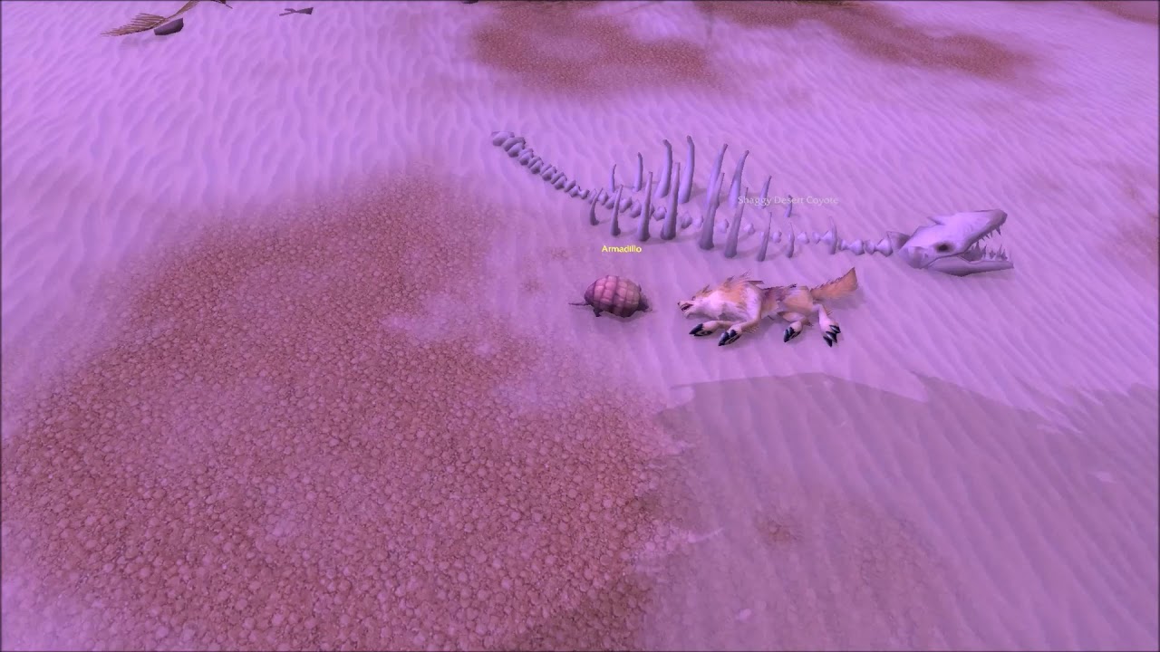 Armadillo vs Coyote in corrupted Uldum