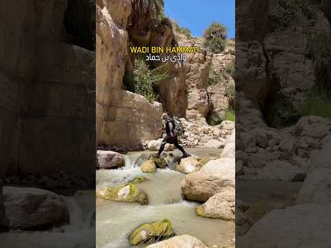 Wadi Bin Hammad (Al Karak): Jordan’s Hidden Valley Escape