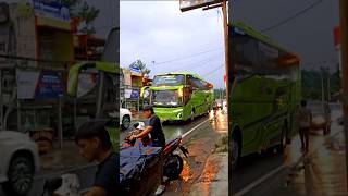 Tembak Tembak Dor Dor Dor  Nada Viral Terbaru Bus Telolet  bustelolet