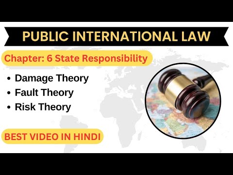 State Responsibility Public