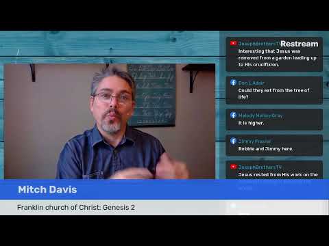 Video preview