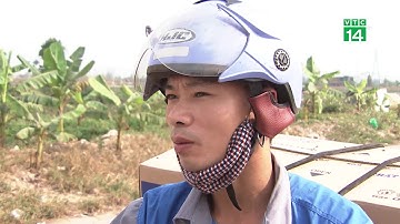 Bắc Ninh: Tập kết rác thải tràn lan gây ô nhiễm môi trường| VTC14