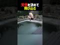 覚悟を決めて飛び込む