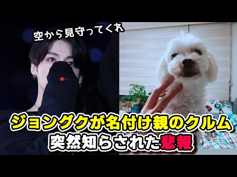 BTSジョングクが名付け親のクルム、急にトレンド入りした理由にARMYショック