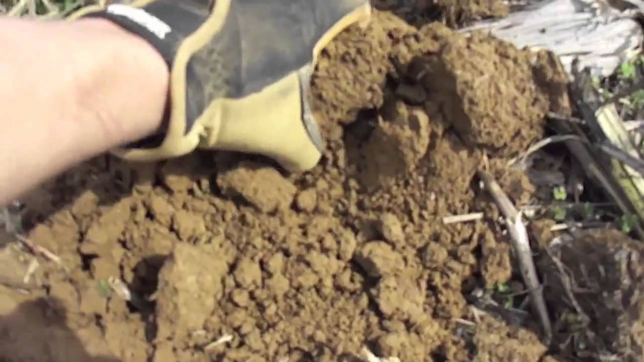 Kentucky Dirt Fishing #22- Bullets Galore with the Gold Bug!