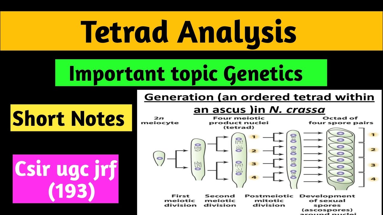 Tetraeed Ruumala Tetrad Analysis #Ordered tetrad And Unordered tetrad #csir net #life ...