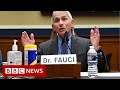 Top US health official Fauci warns of 'disturbing' new US surge - BBC News