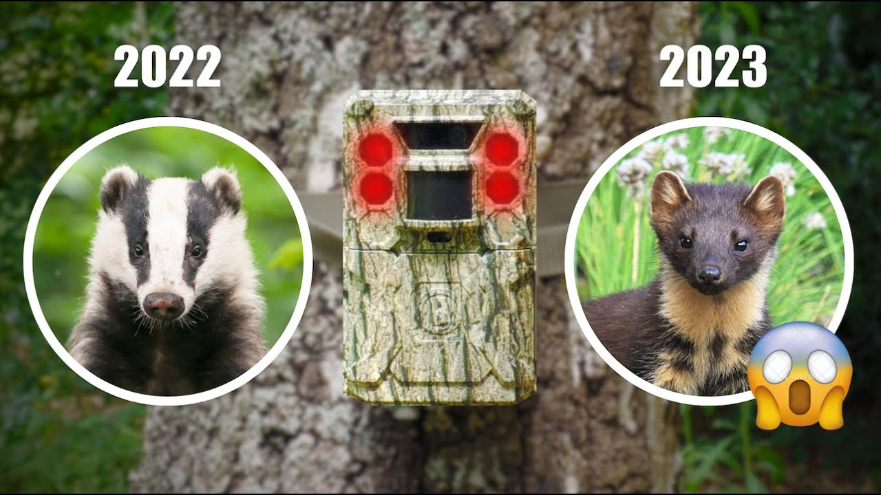 J'ai laissé une caméra dans mon jardin pendant 1 an