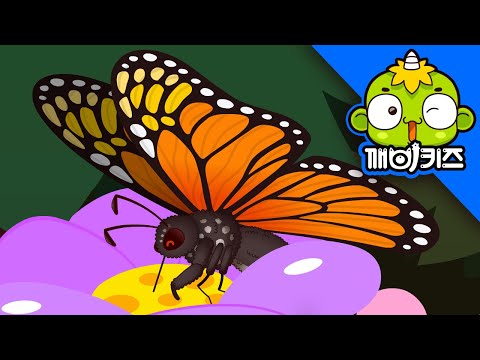 Save the Monarch Butterfly | Insect Rescue Team | Science Fairy Tale | Children's Fairy Tale | El...