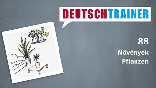 Német kezdőknek (A1/A2) | Deutschtrainer: Növények