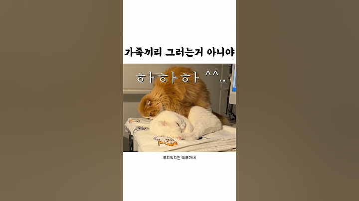 가족끼리 그러는거 아니야..