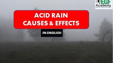 Acid Rain l Acid Rain in English l Acid Rain Ph l Acid Rain UPSC l UPSC IAS English