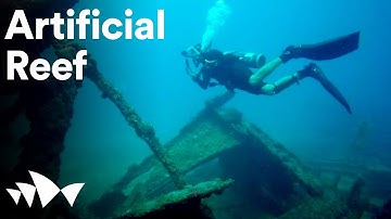 Artificial Reef Project | Sydney Opera House