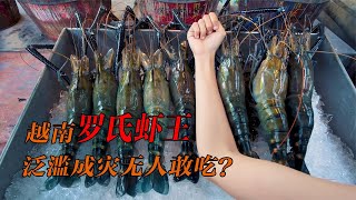 巨型大虾入侵湄公河，泛滥成灾粗如手臂，出口中国为何被拒绝？