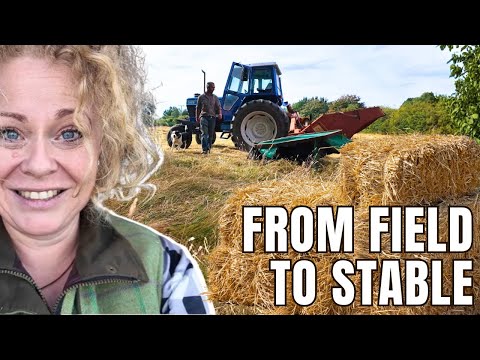 Uploads from Essentially Living the Dream 🐴