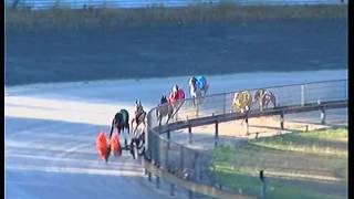 BULLI-05112016-RACE-1