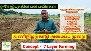 #அணிநிழற்காடு | #7 #Layer #farming | How to grow fruit trees | #Forest |ஏழு அடுக்கு விவசாயம்