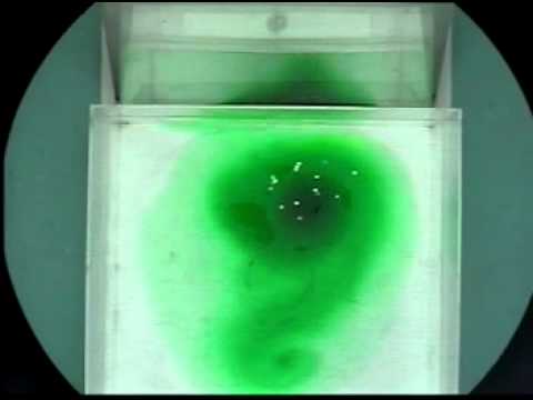 Experiment IX: Cylinder Collapse