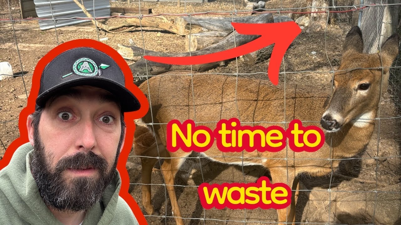 Herd control measures! We had to do it! 