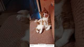 Солнышко моё любимое
