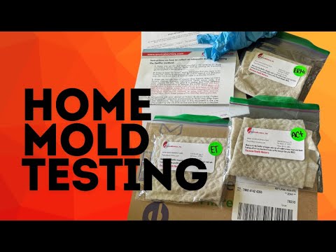 Home mold and toxin testing