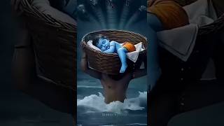 কি সুন্দর দৃশ্য 🥰😊❤️#shorts #krishna #gopal #viralvideo #youtubeshorts