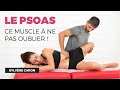 Ce muscle  ne pas oublier le psoas  sylvre caron