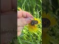 В субботу на прямой эфир Кира Серебро приедут гости из Санкт-Петербурга! Будет живое общение, новые